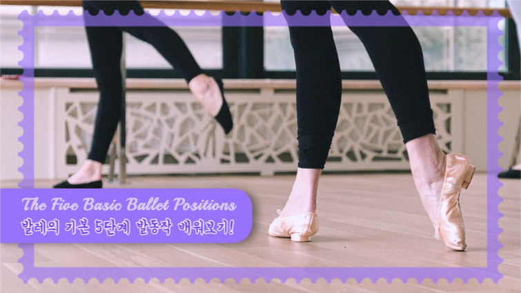 발레의 기본 5단계 발동작 배워보기
