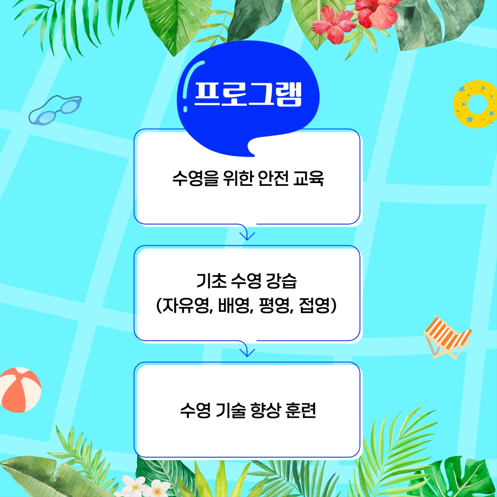 수영특강카드뉴스