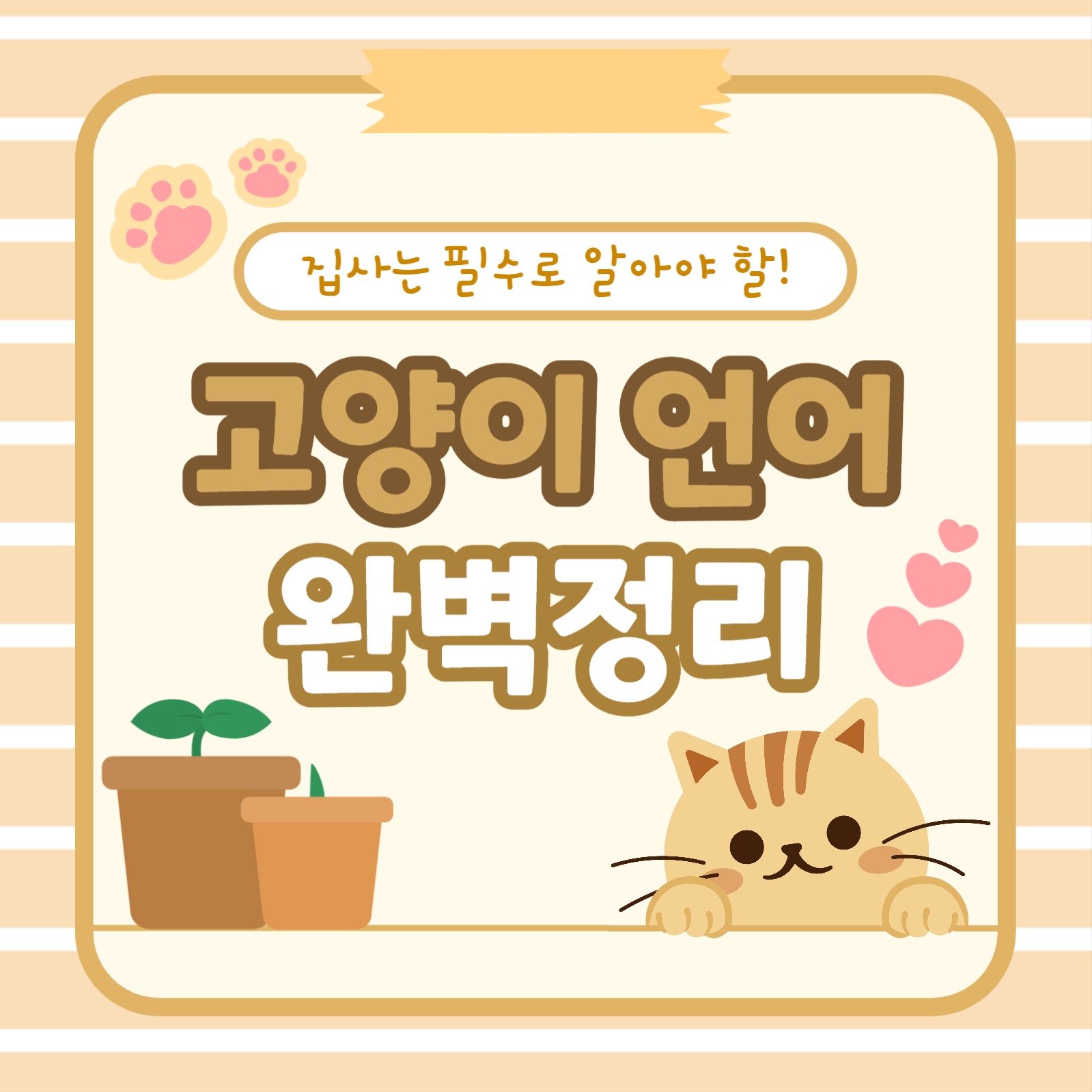 고양이 언어 완벽정리 카드뉴스