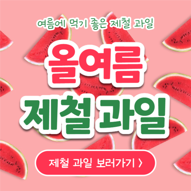 올여름 제철과일 (카드뉴스)