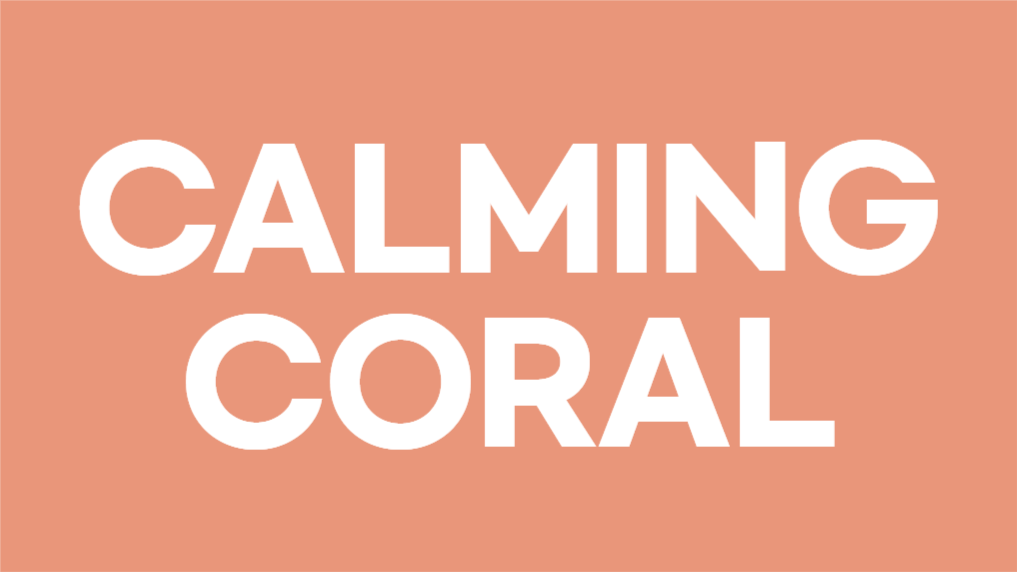 여유로운 카밍 코랄