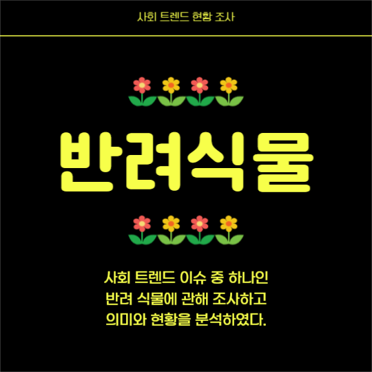 반려식물 키우기 (카드뉴스)