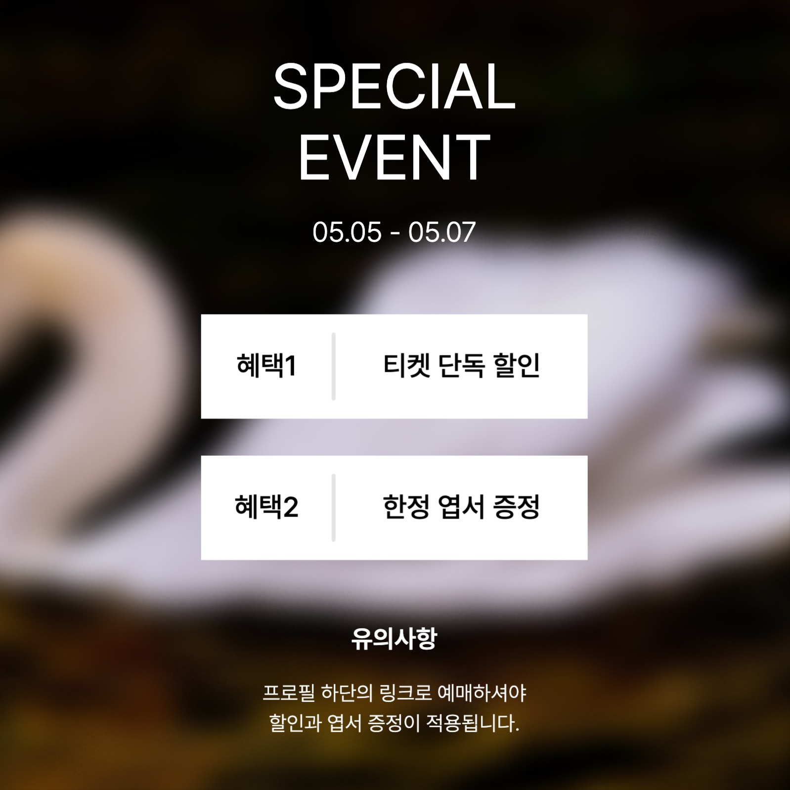 사진전 추천 및 이벤트