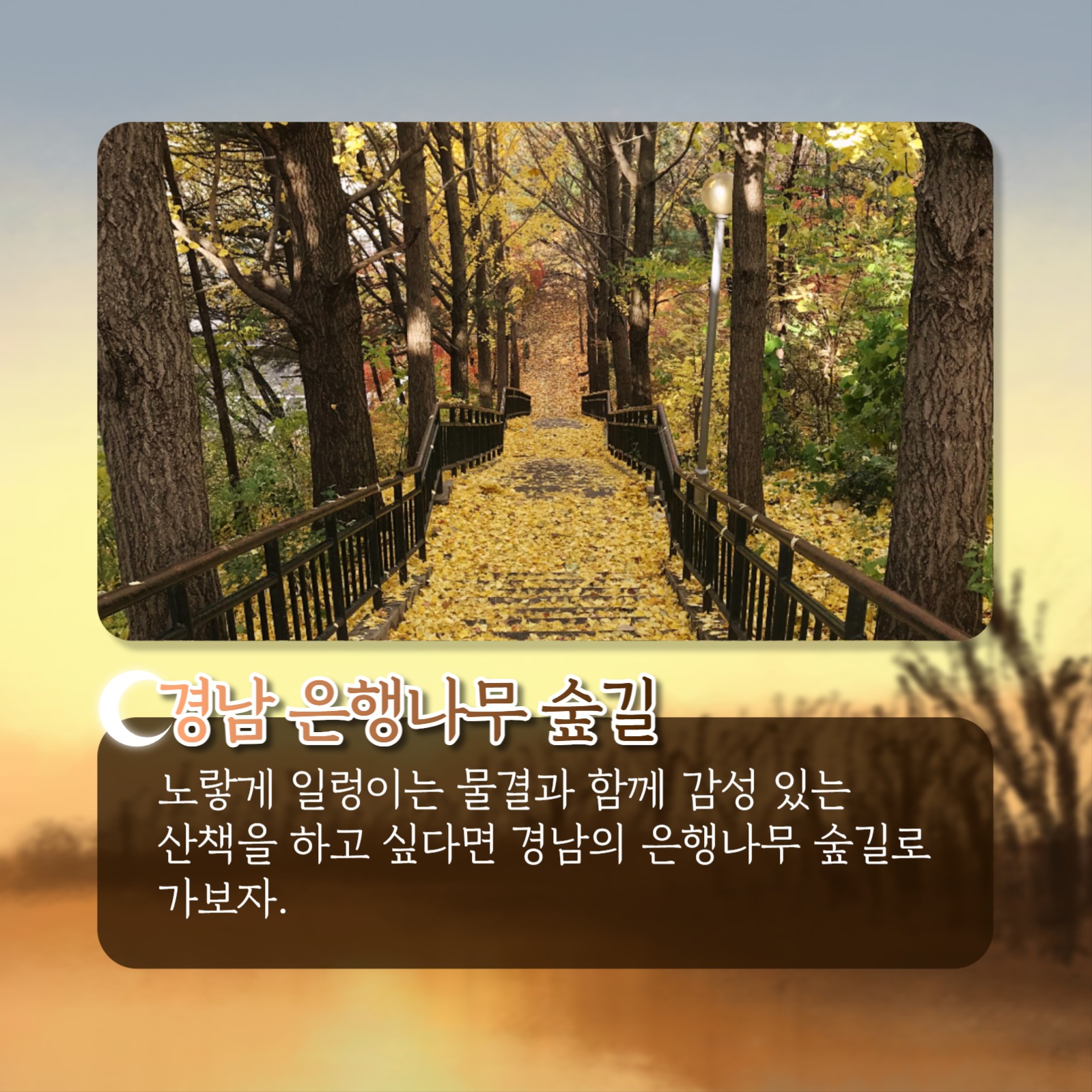 가을 산책 추천 코스 카드뉴스