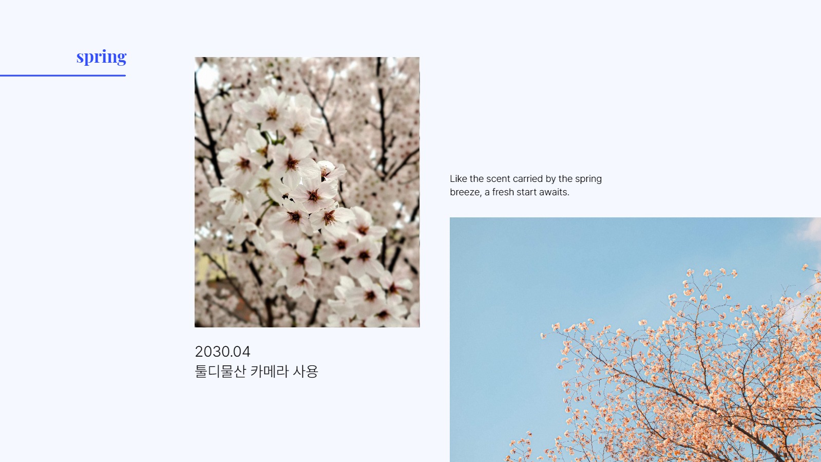 디자이너 포트폴리오