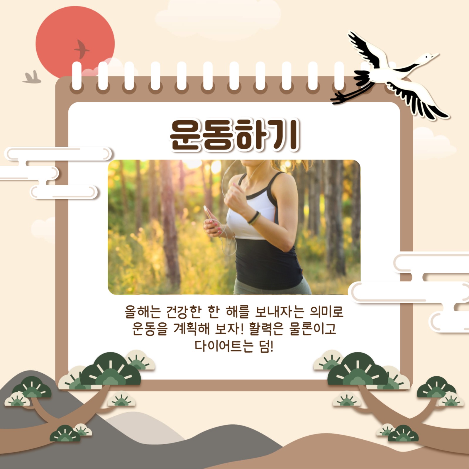 신년 계획 카드뉴스