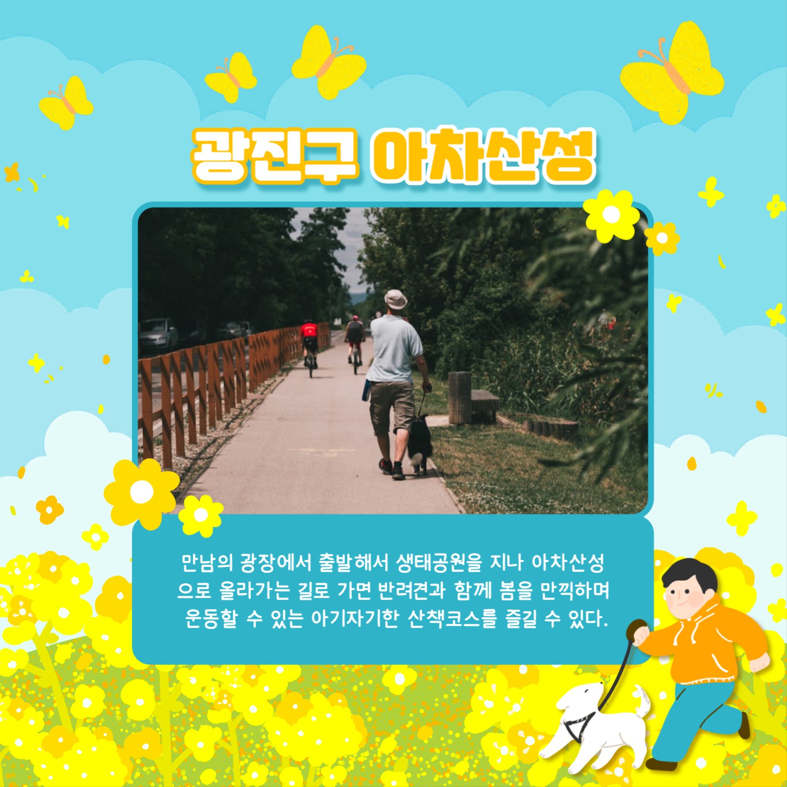 산책코스 카드뉴스