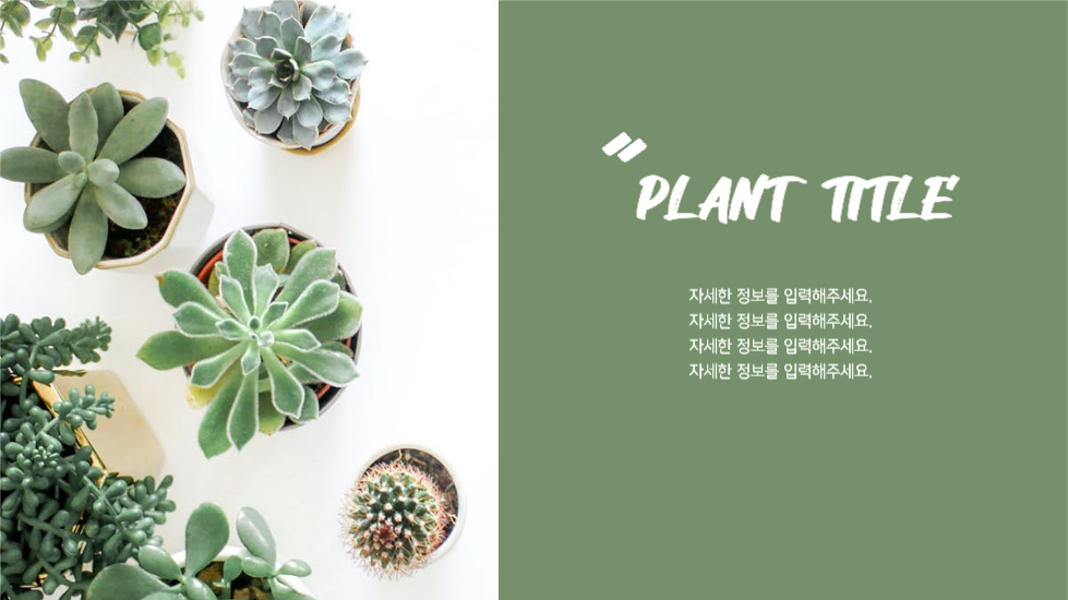 식물 조사 피피티