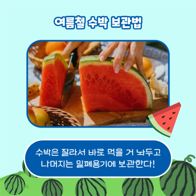 수박 보관법 (카드뉴스)