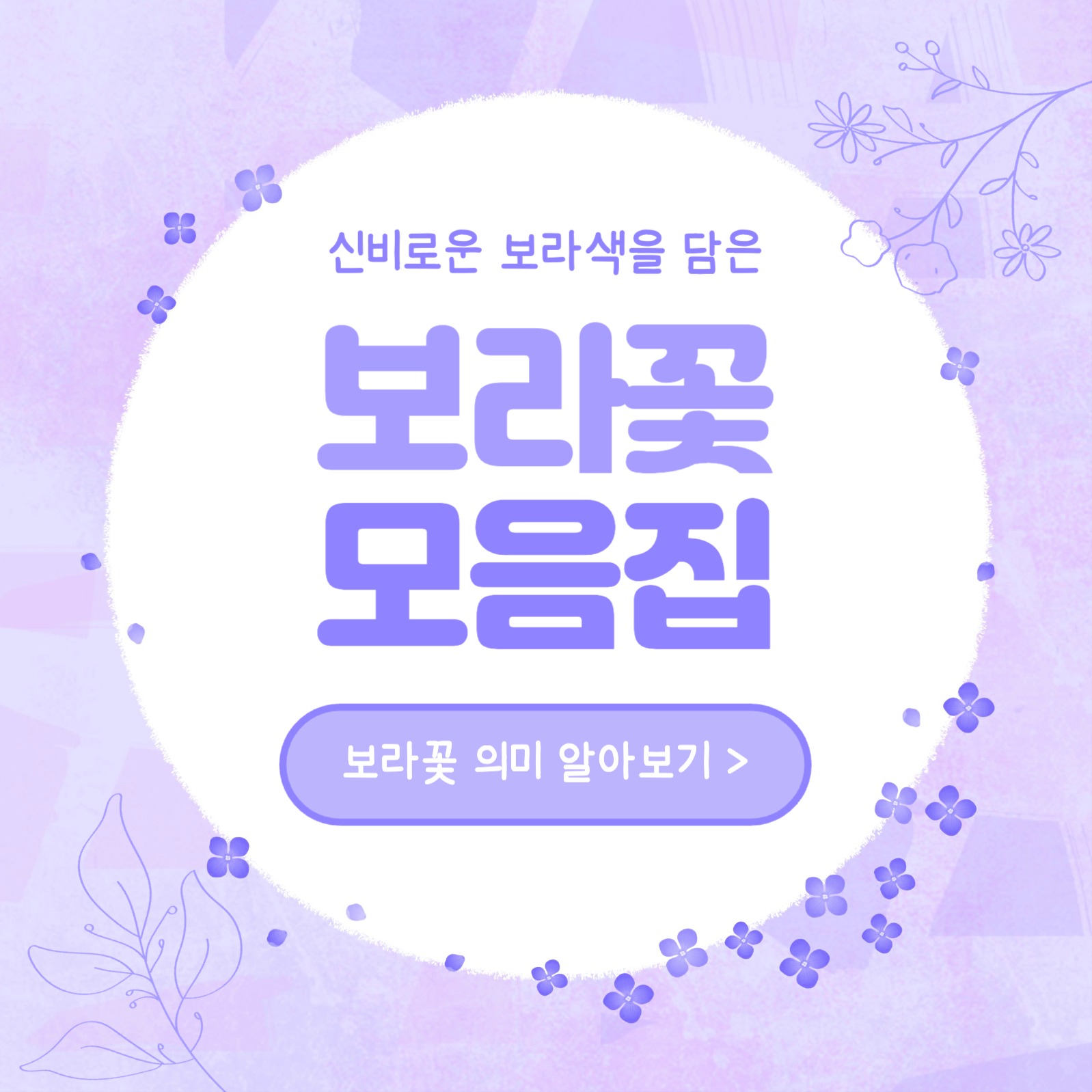 보라꽃 모음집 카드뉴스