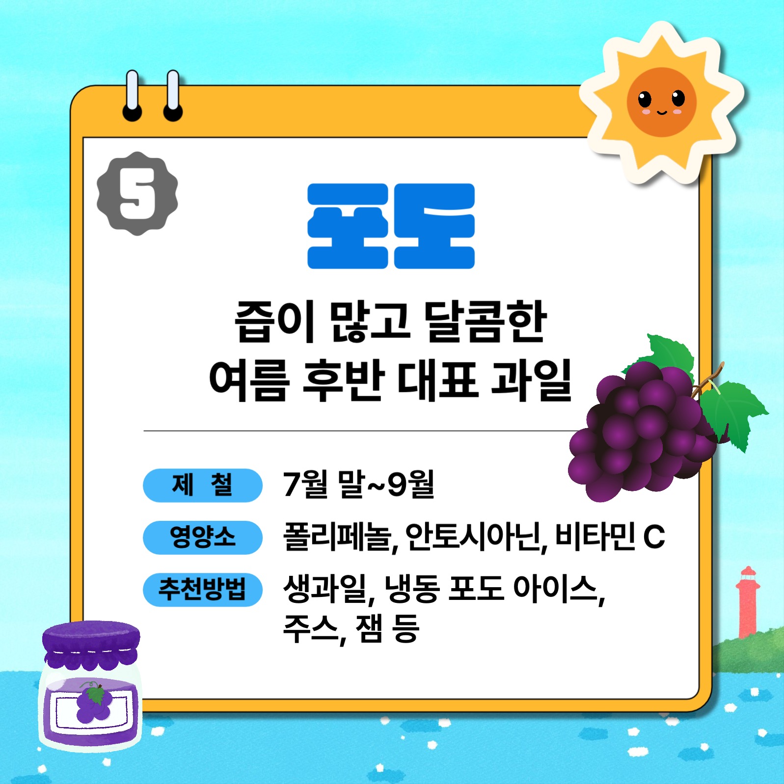 여름제철과일 6가지