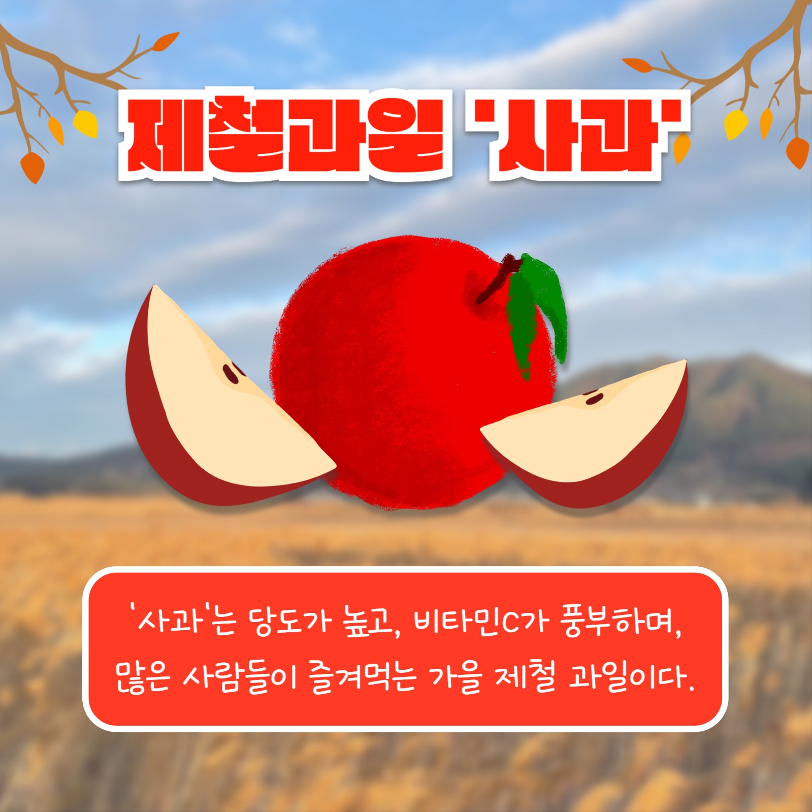 제철과일 Best 3 (카드뉴스)