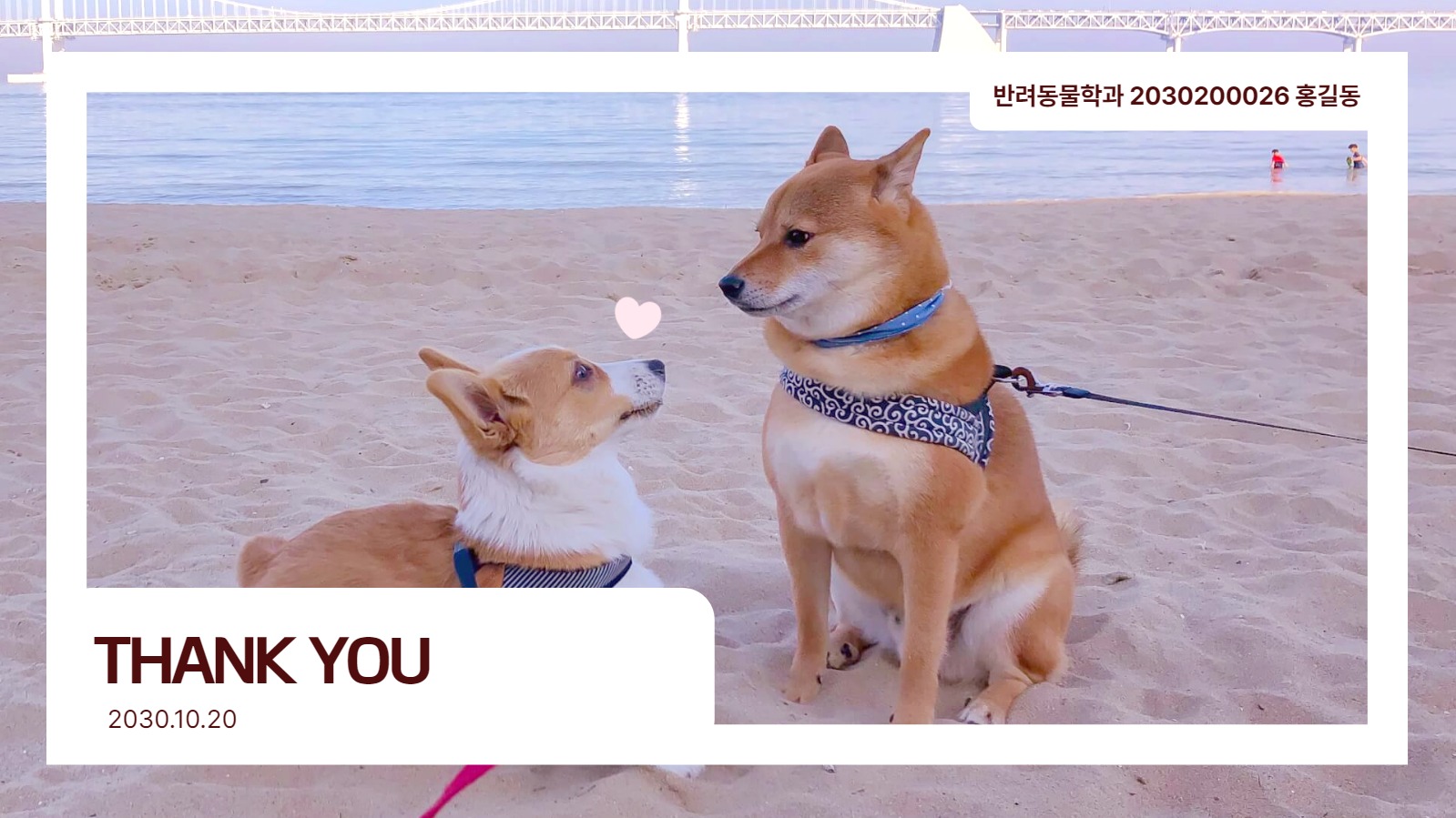 반려동물 양육의 장점