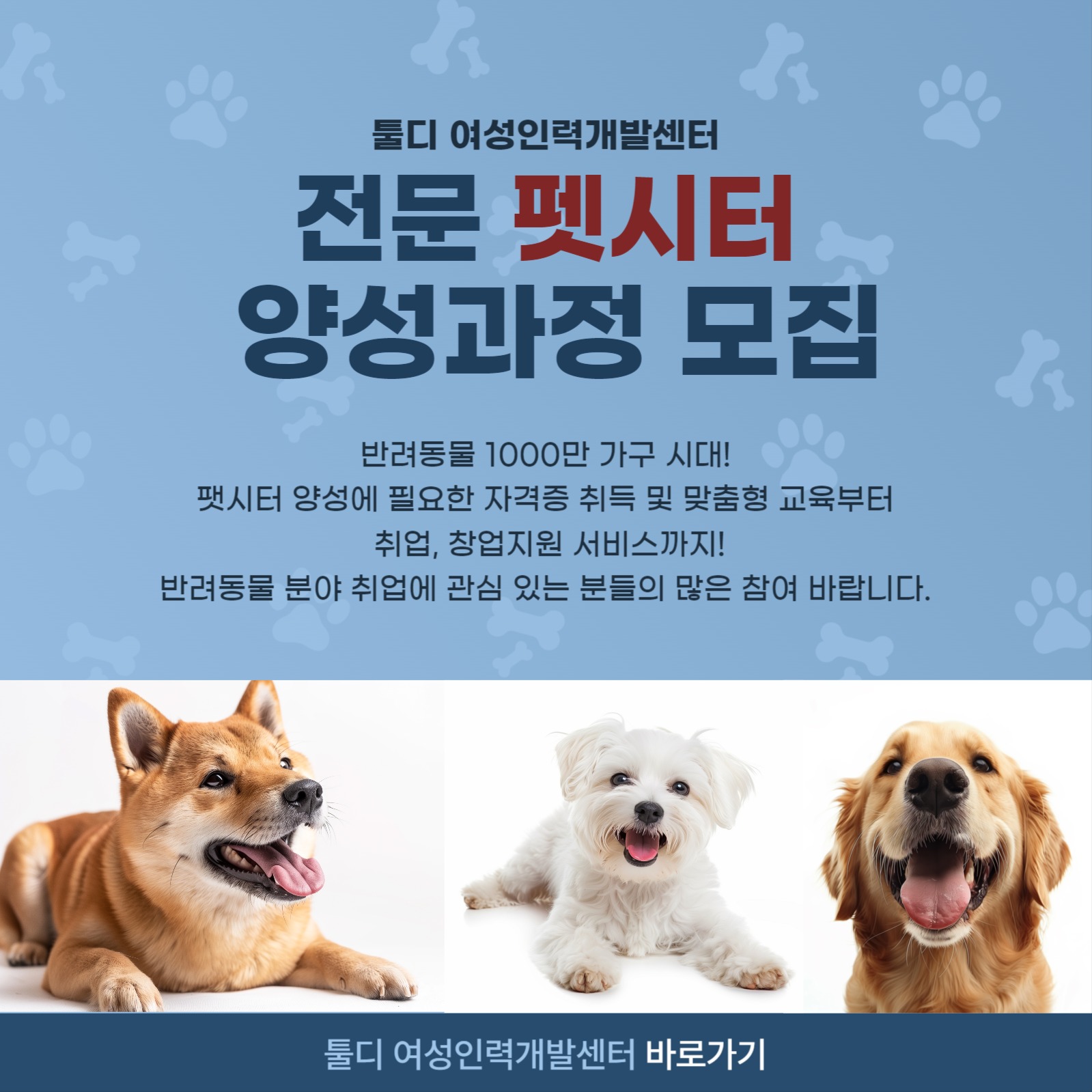 펫시터 양성과정 참가자 모집