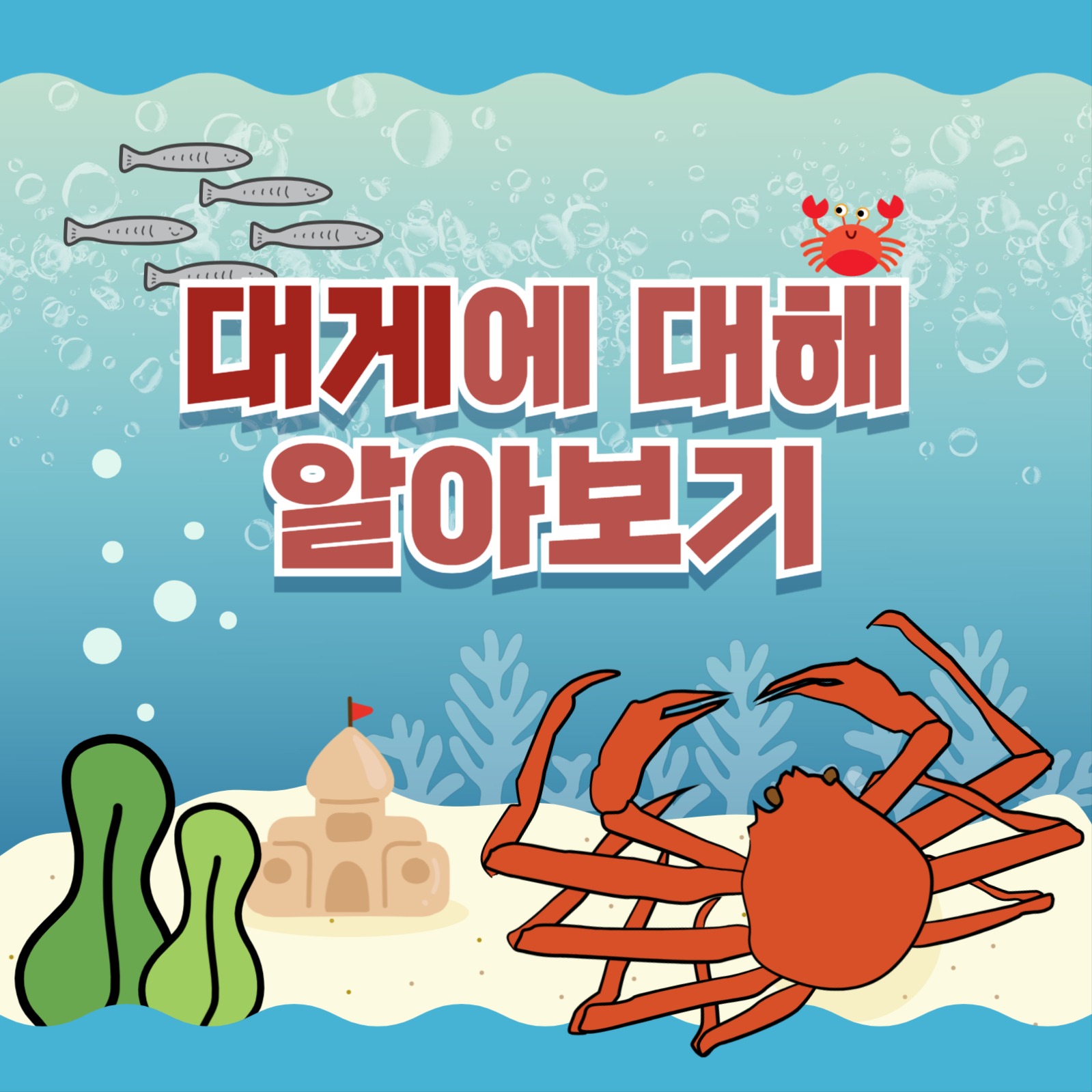 대게에 대해 알아보기