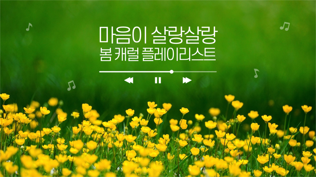 마음이 살랑살랑 봄 캐럴 플레이리스트