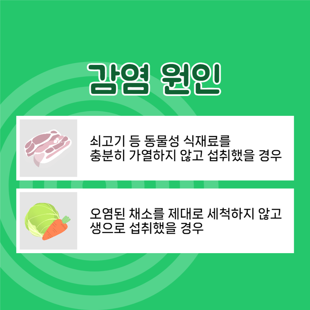 여름철 식중독 예방하기 카드뉴스
