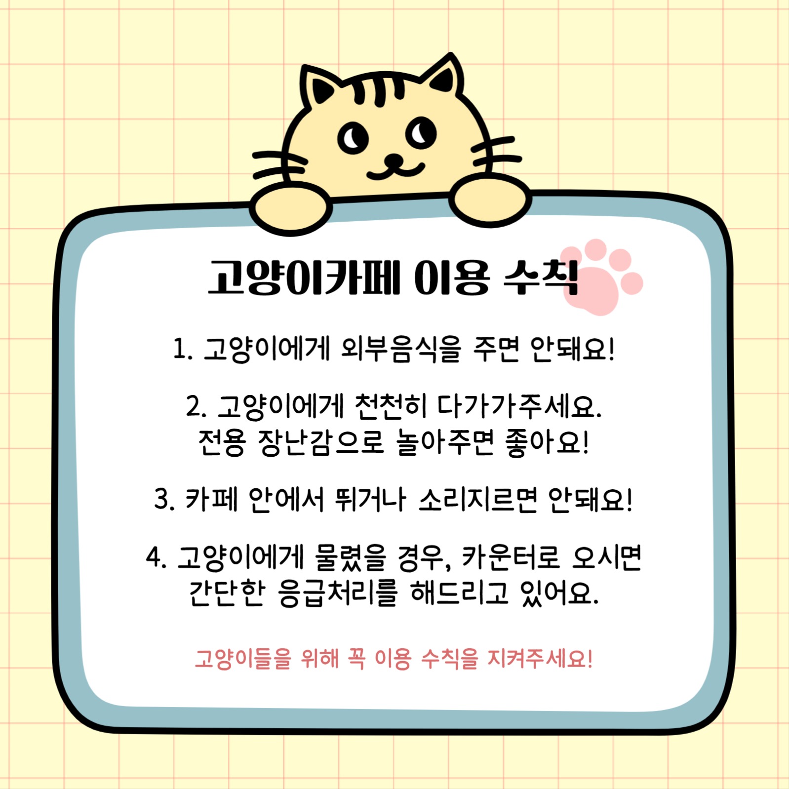 고양이카페 이용 수칙 홍보