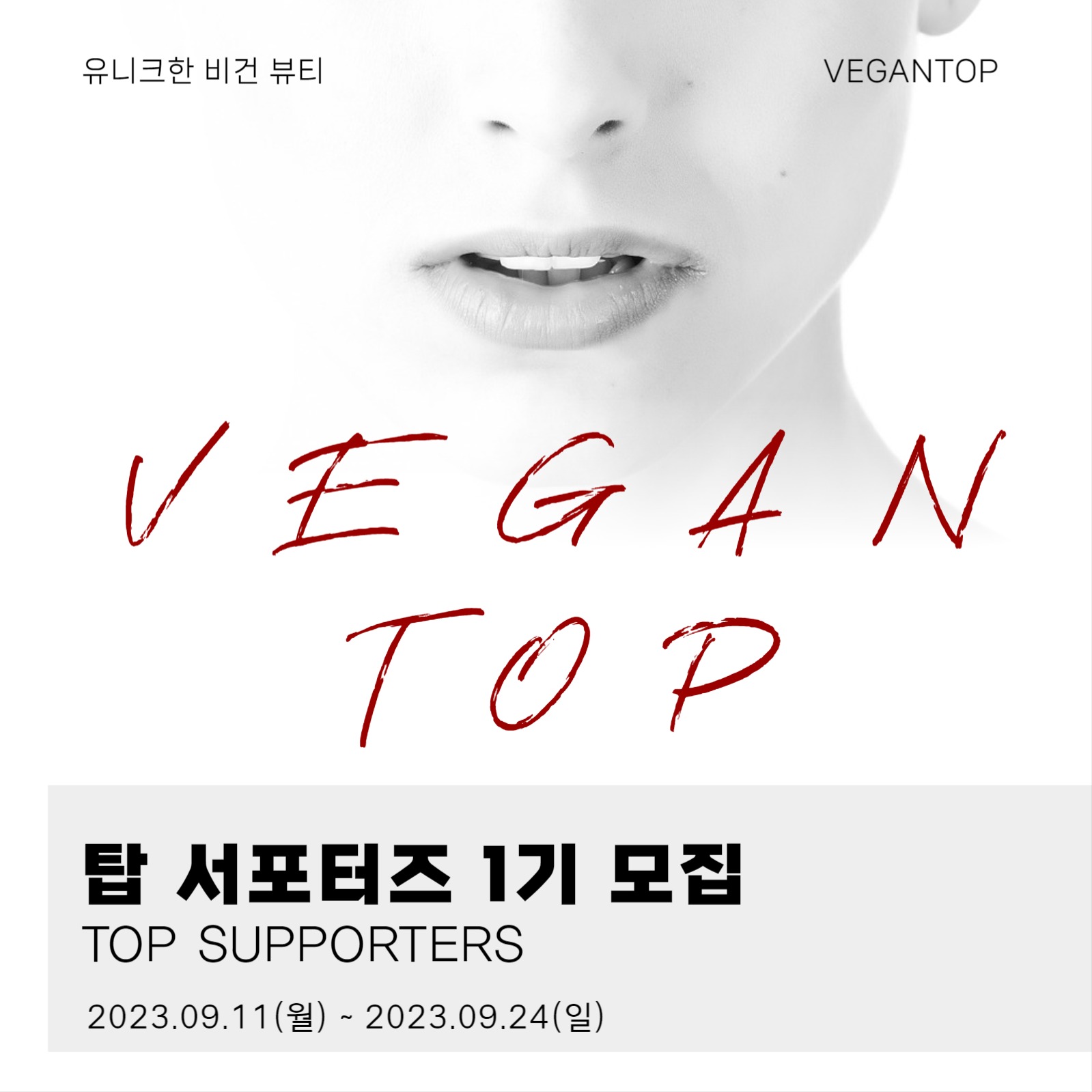 서포터즈 게시물