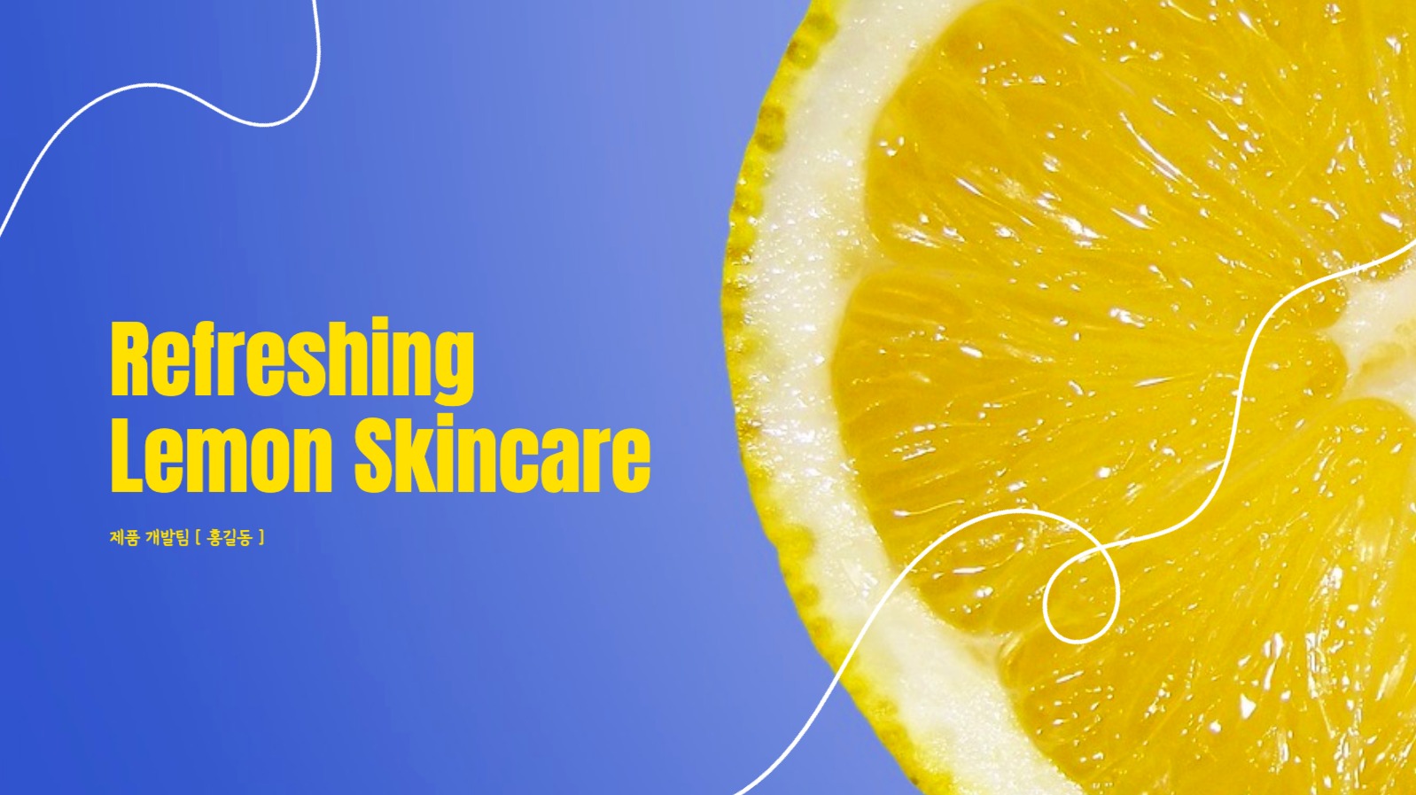 레몬 스킨 케어 화장품 기획서