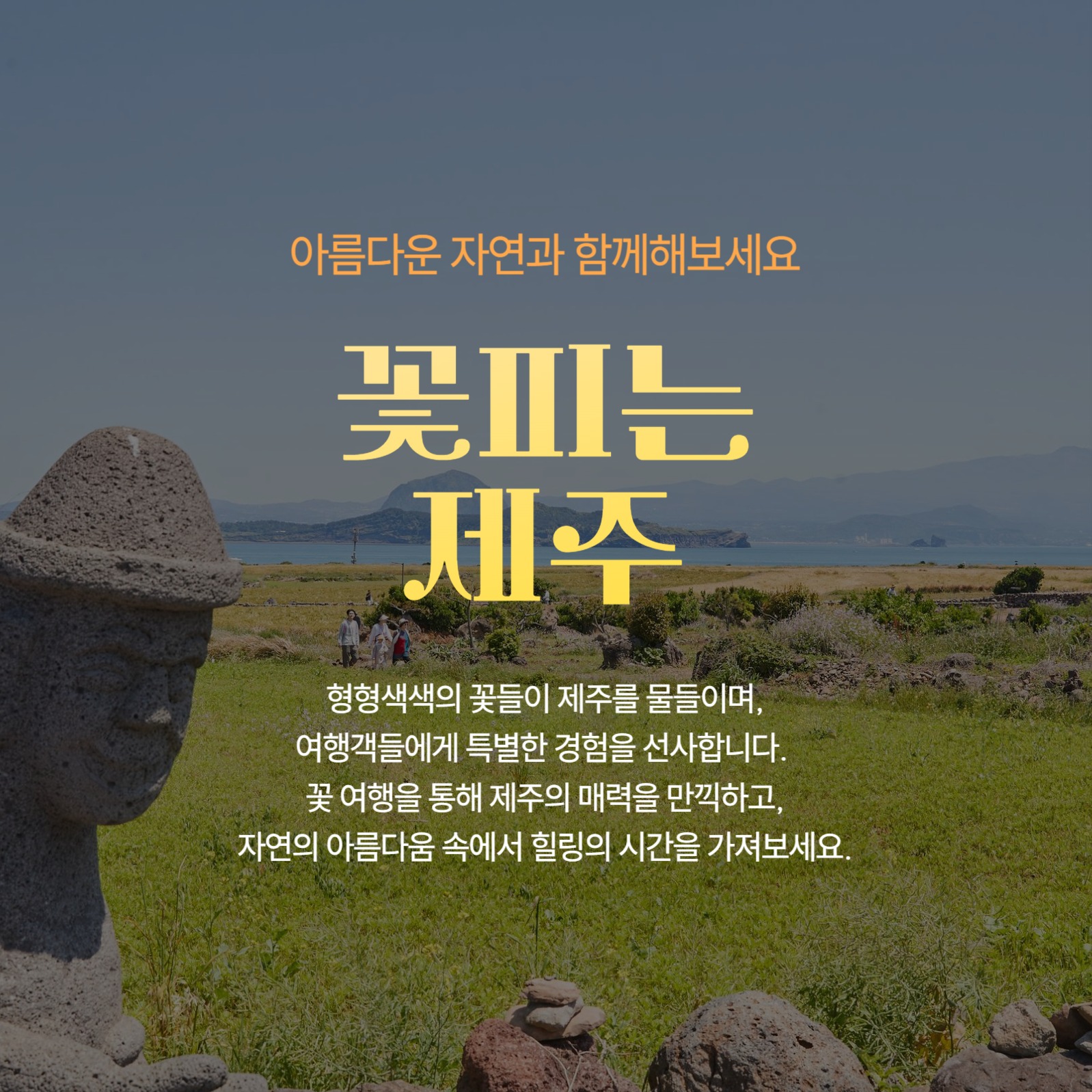 제주 꽃구경 명소 추천 카드뉴스