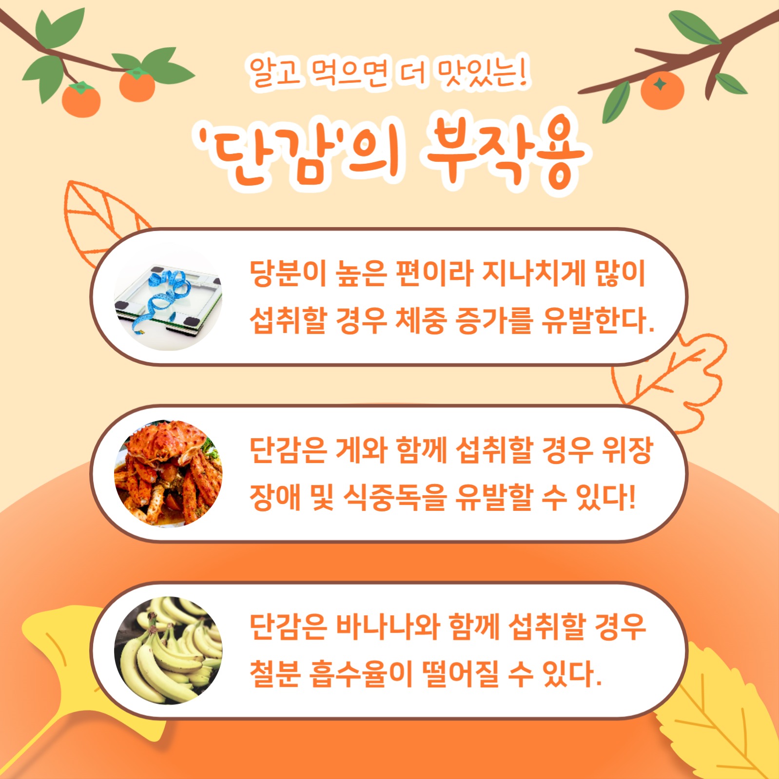 가을 단감 정보 (카드뉴스)