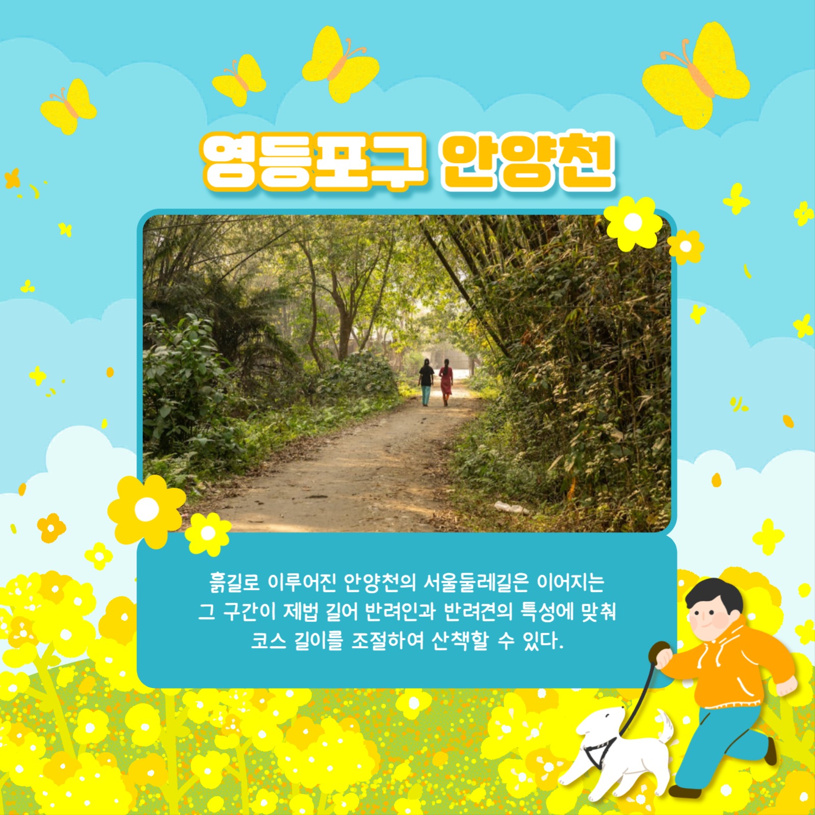 산책코스 카드뉴스