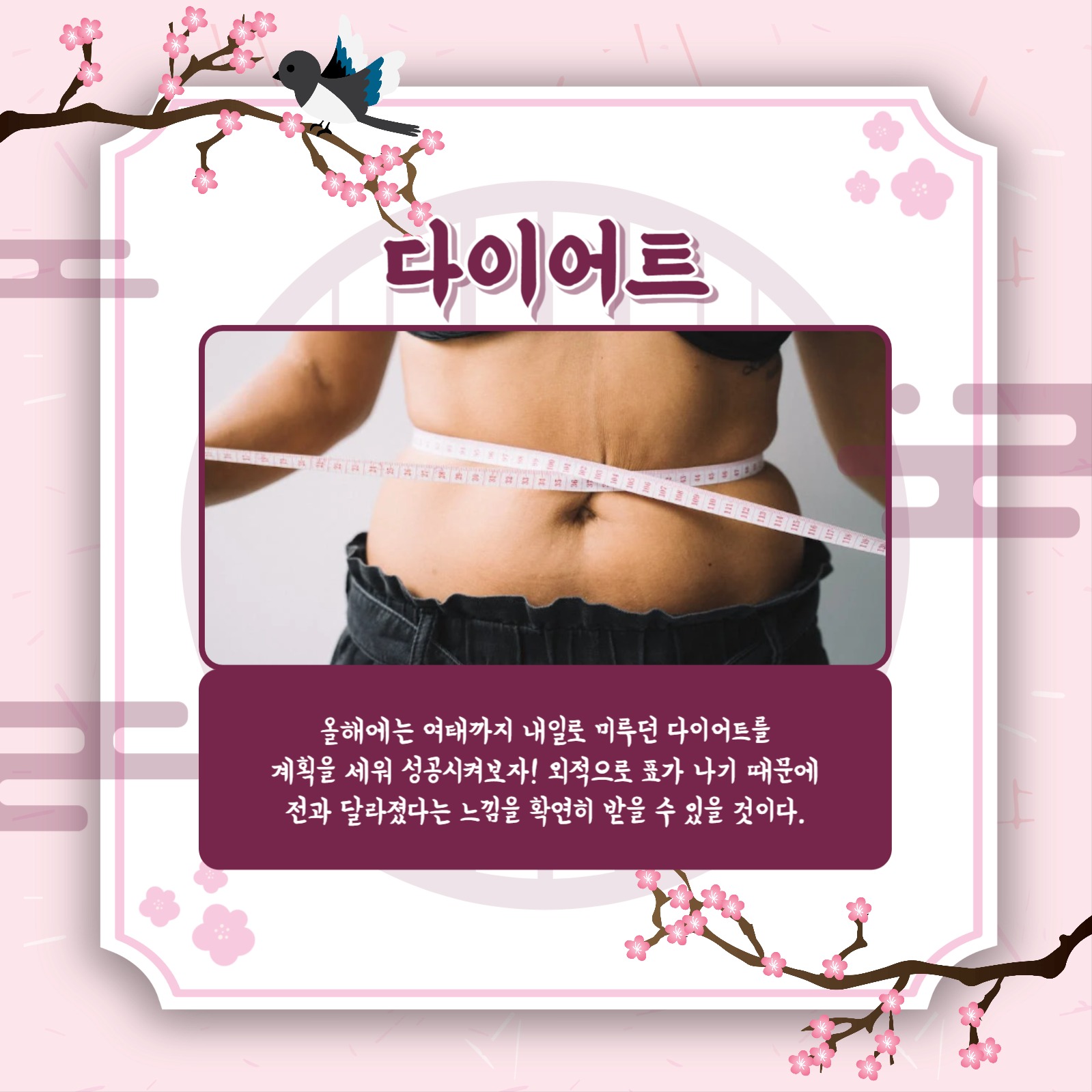 신년 목표 정하기 카드뉴스