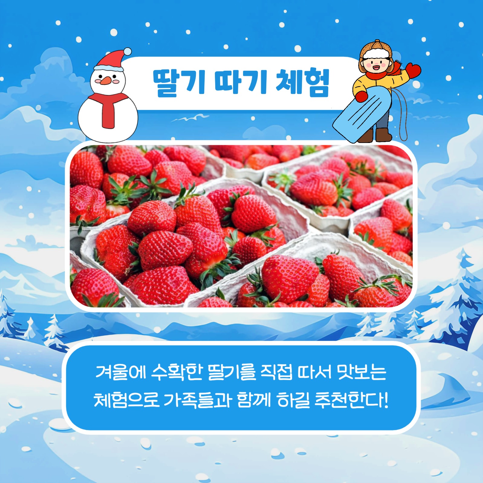 겨울방학 체험활동 카드뉴스