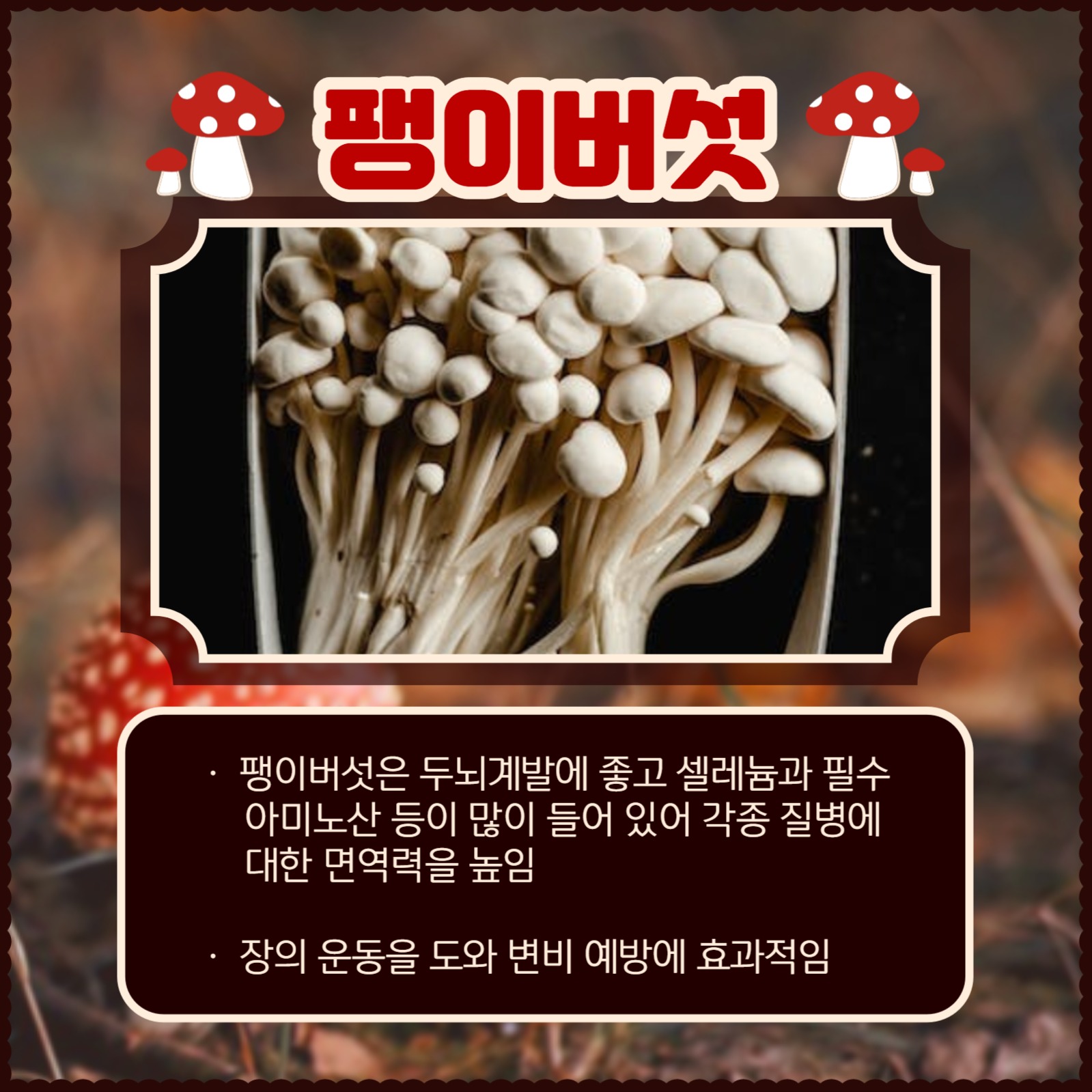 버섯의 종류와 효능 카드뉴스