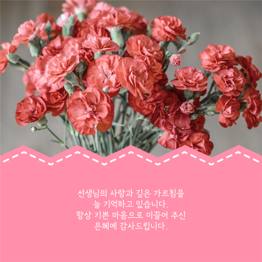 스승의 날 인사말 모음 카드뉴스