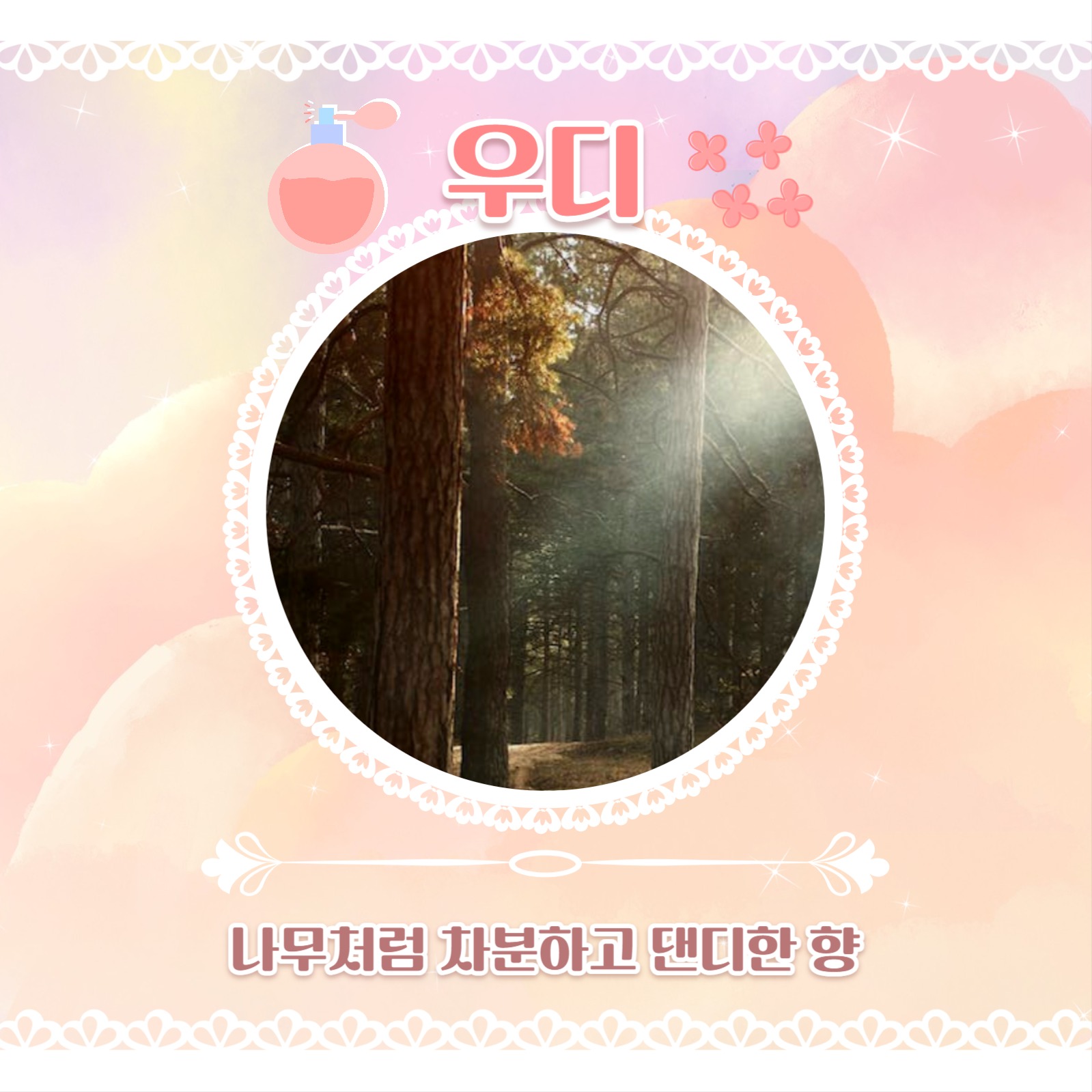 섬유 향수 추천 카드뉴스