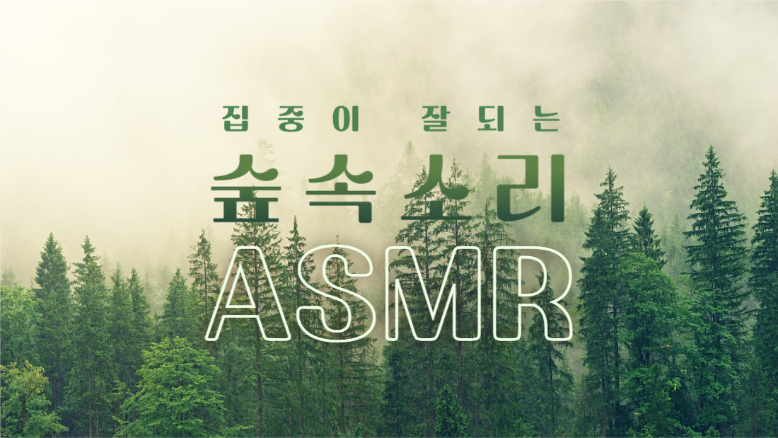 숲속소리 ASMR 썸네일