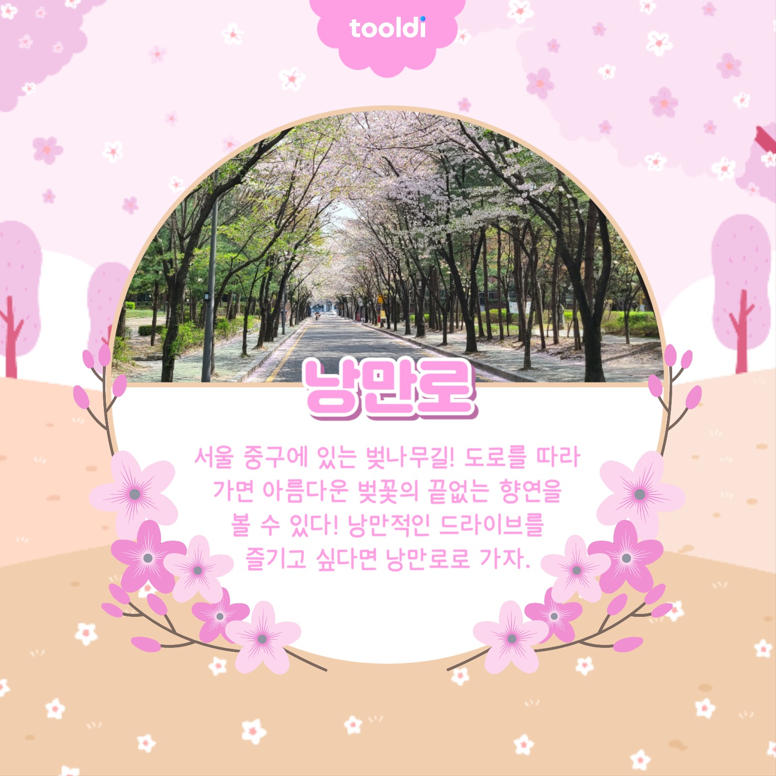 벚꽃 명소 알아보기 카드뉴스