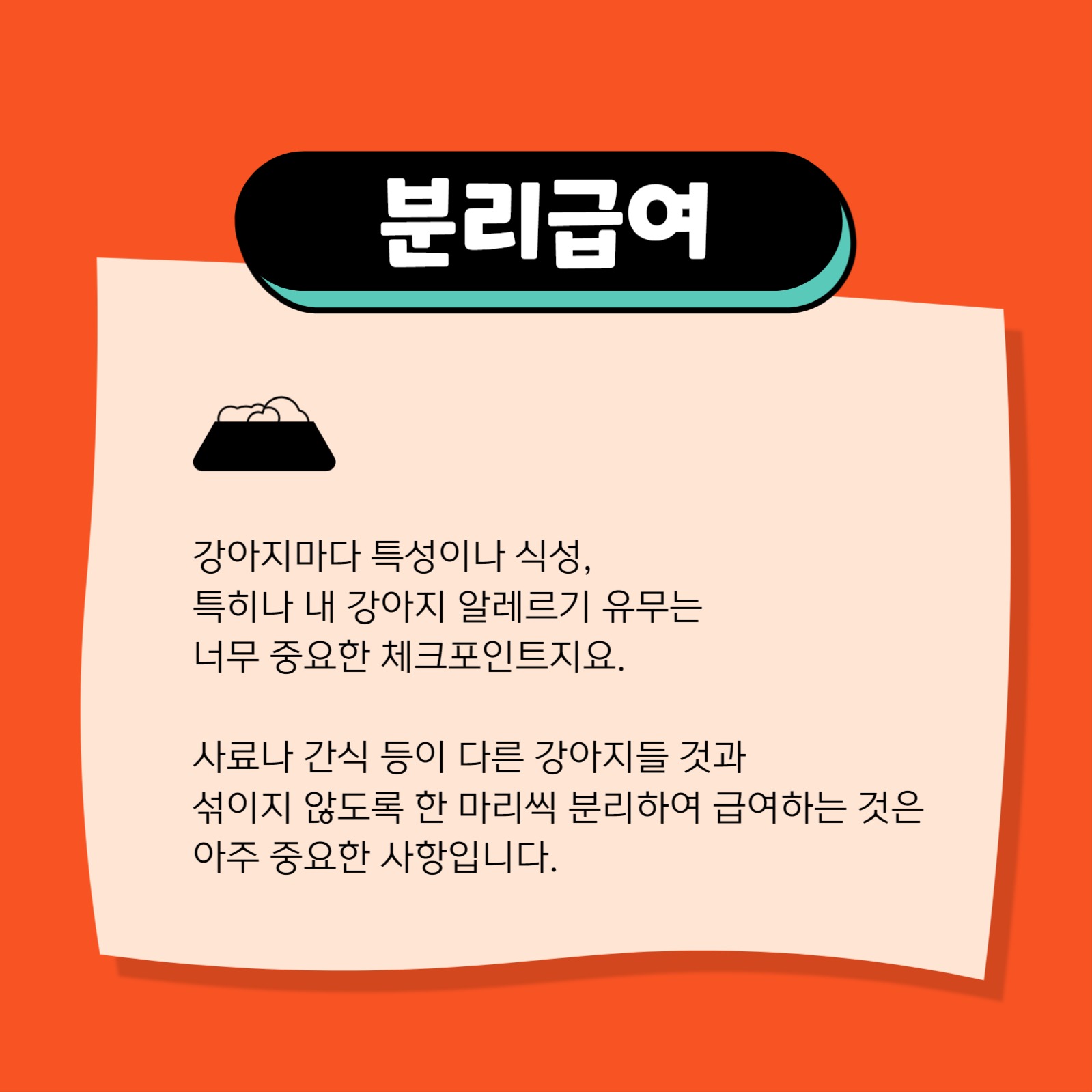 툴디 개린이집 카드뉴스
