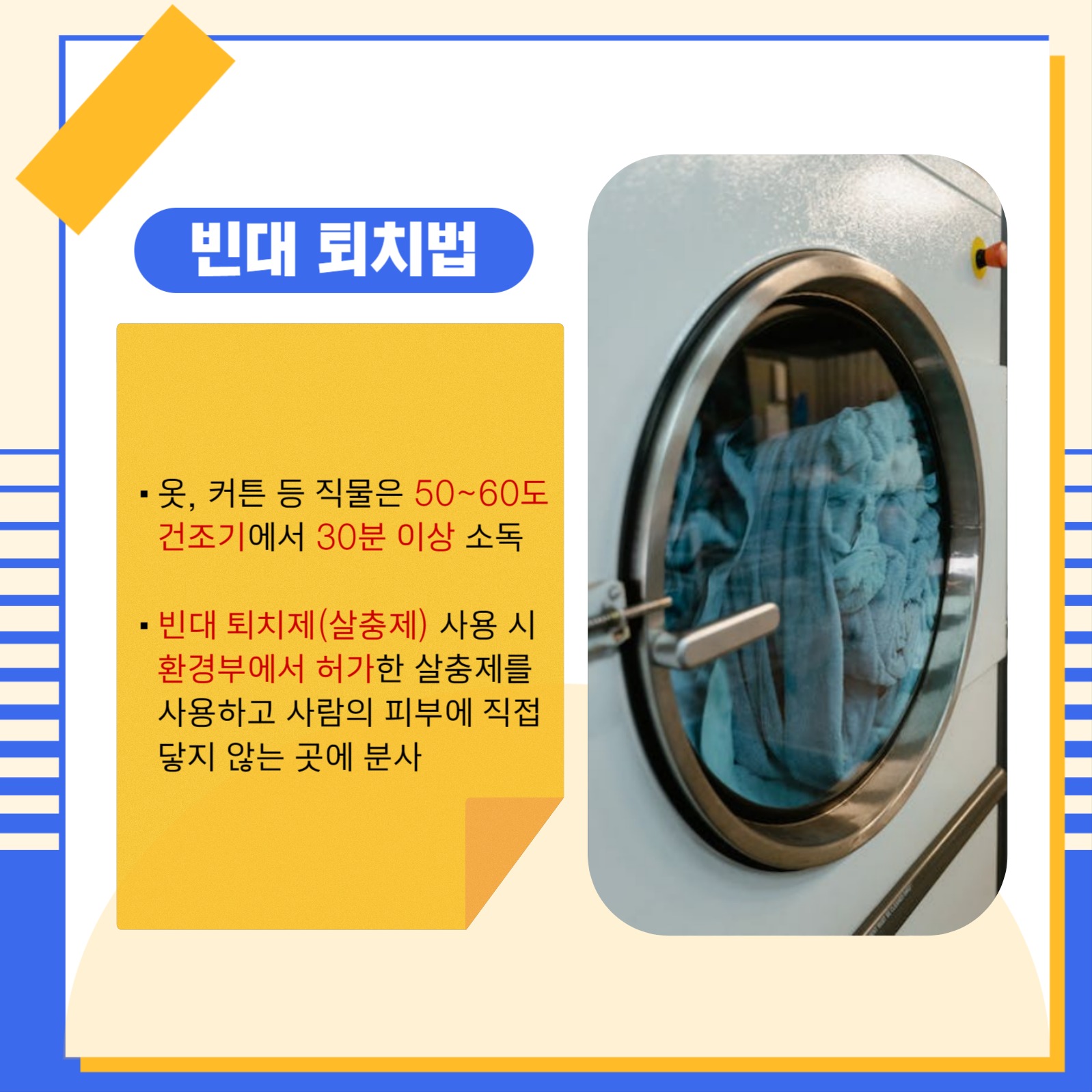 빈대 예방 꿀팁 대방출 카드뉴스