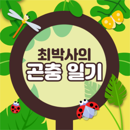 최박사의 곤충 일기