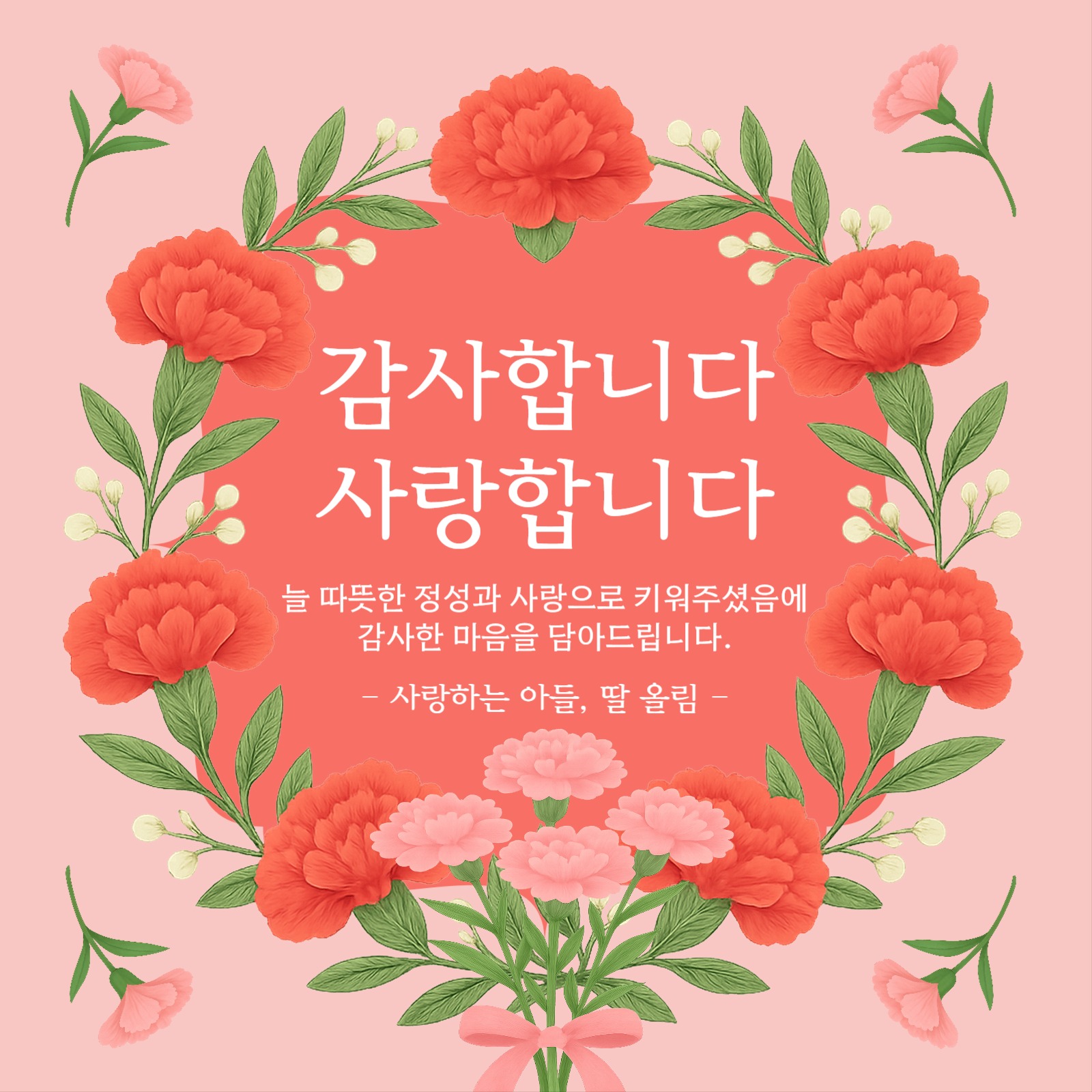 카네이션 감사 카드