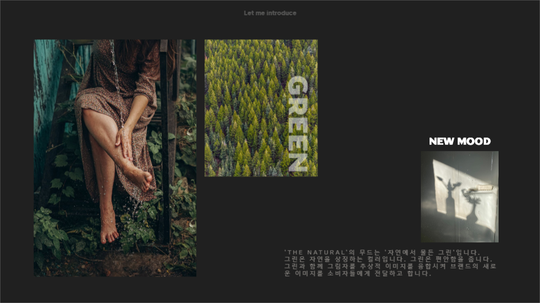 스킨 케어 브랜드 소개서_더 네츄럴