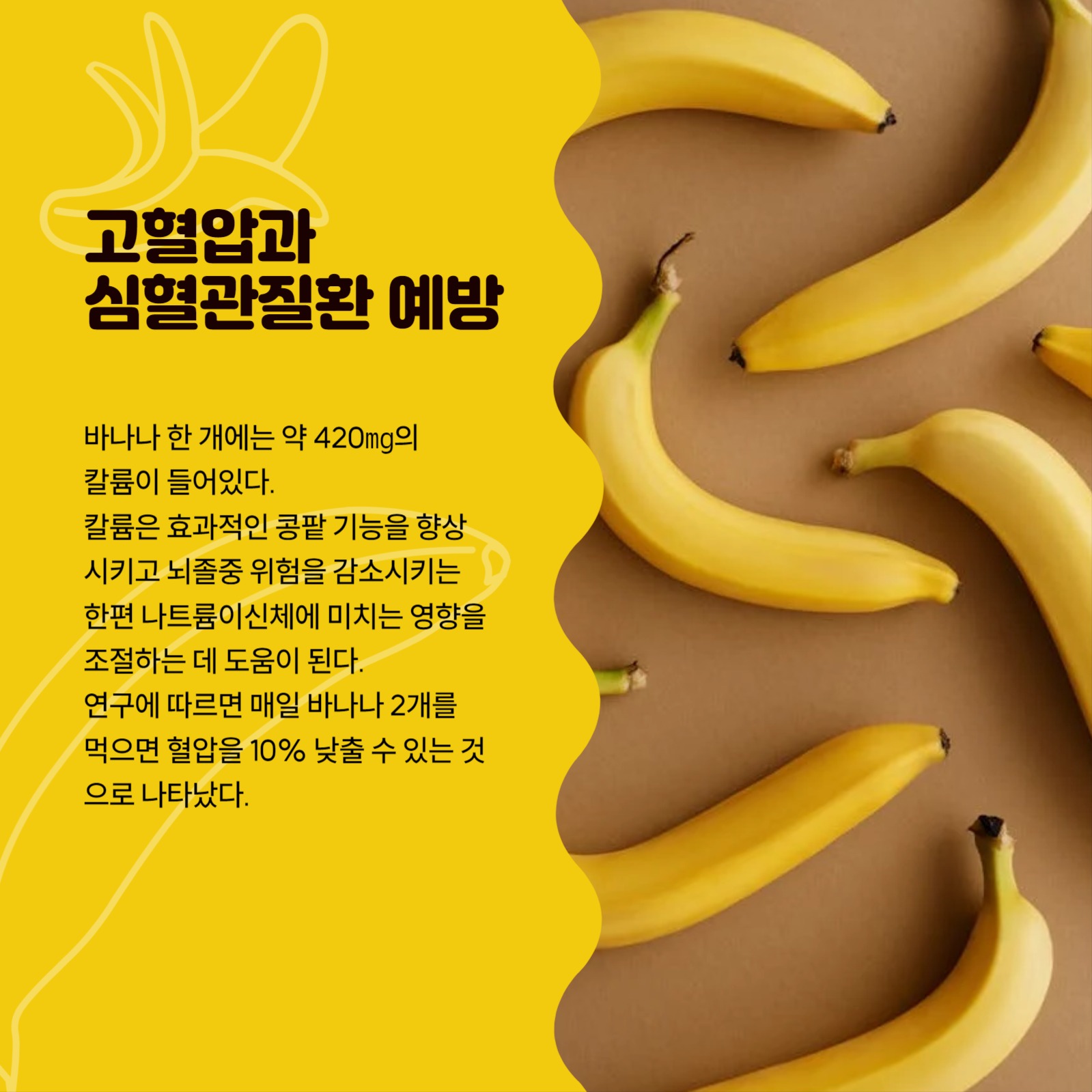 바나나를 매일 먹어야 하는 이유
