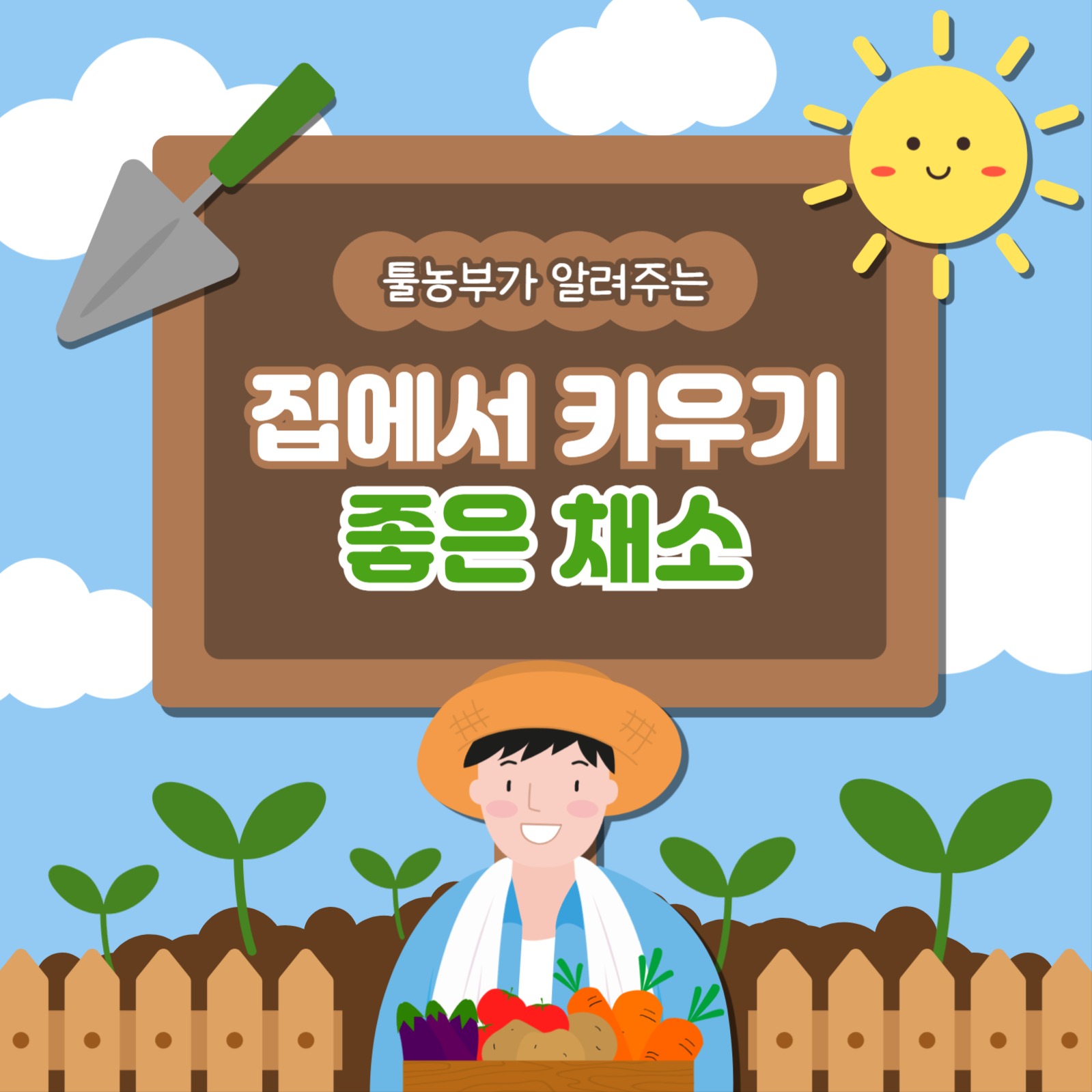 키우기 좋은 채소 카드뉴스