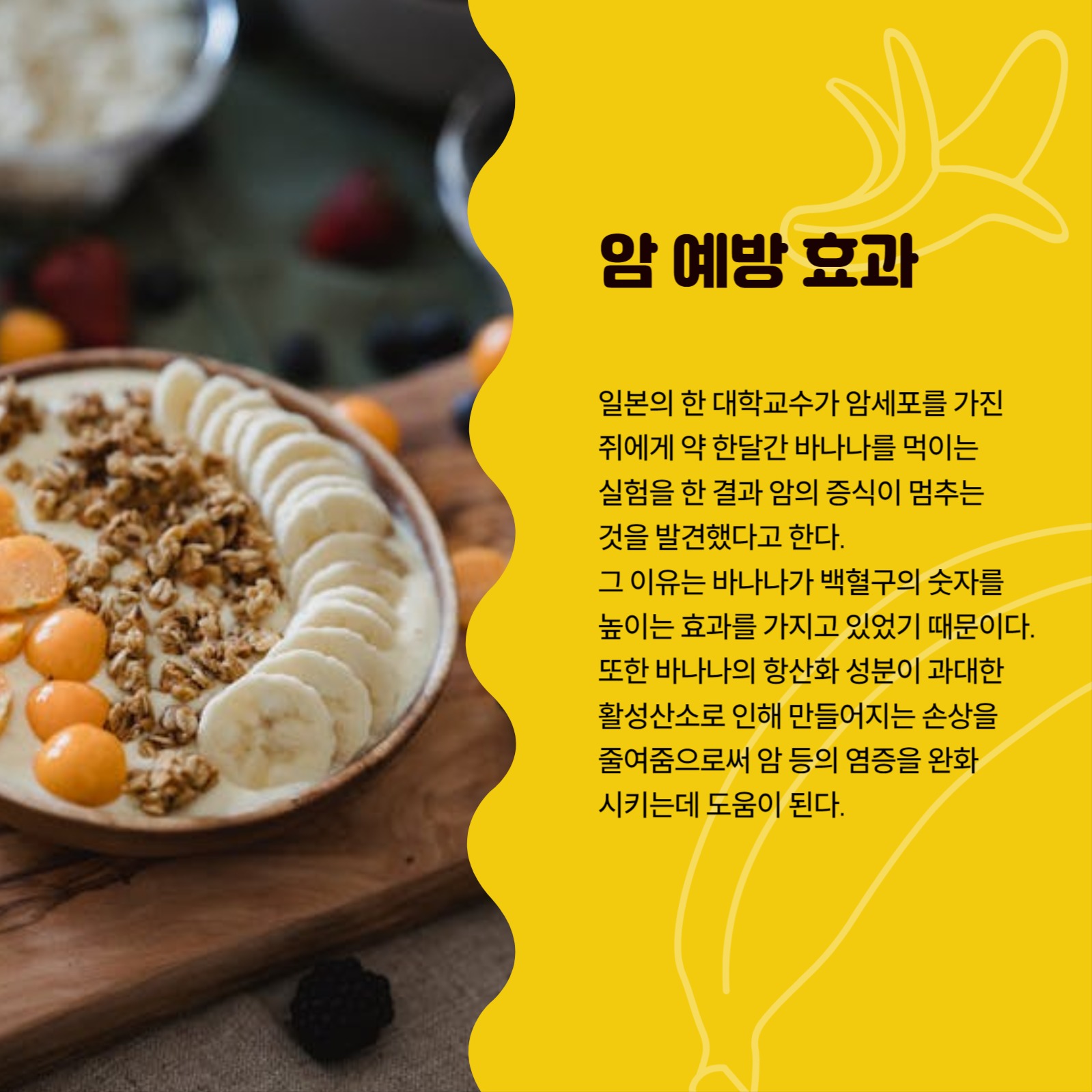 바나나를 매일 먹어야 하는 이유