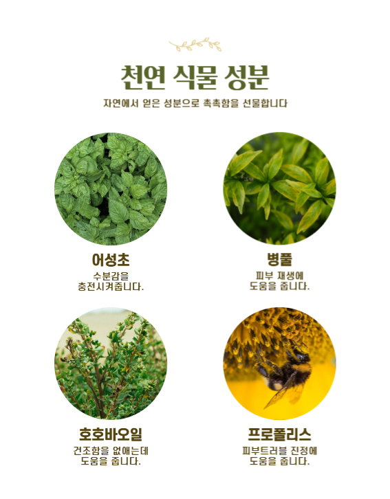 천연스킨케어비누상세페이지