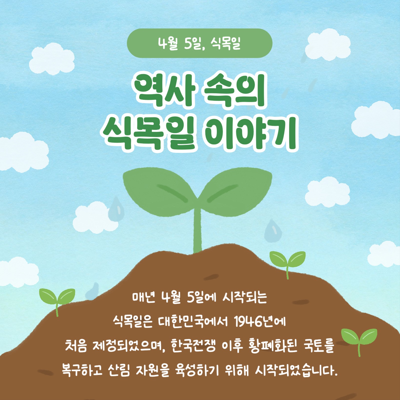 식목일의 모든 것 카드뉴스