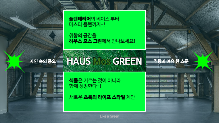 플랜테리어 인테리어 브랜딩 제안