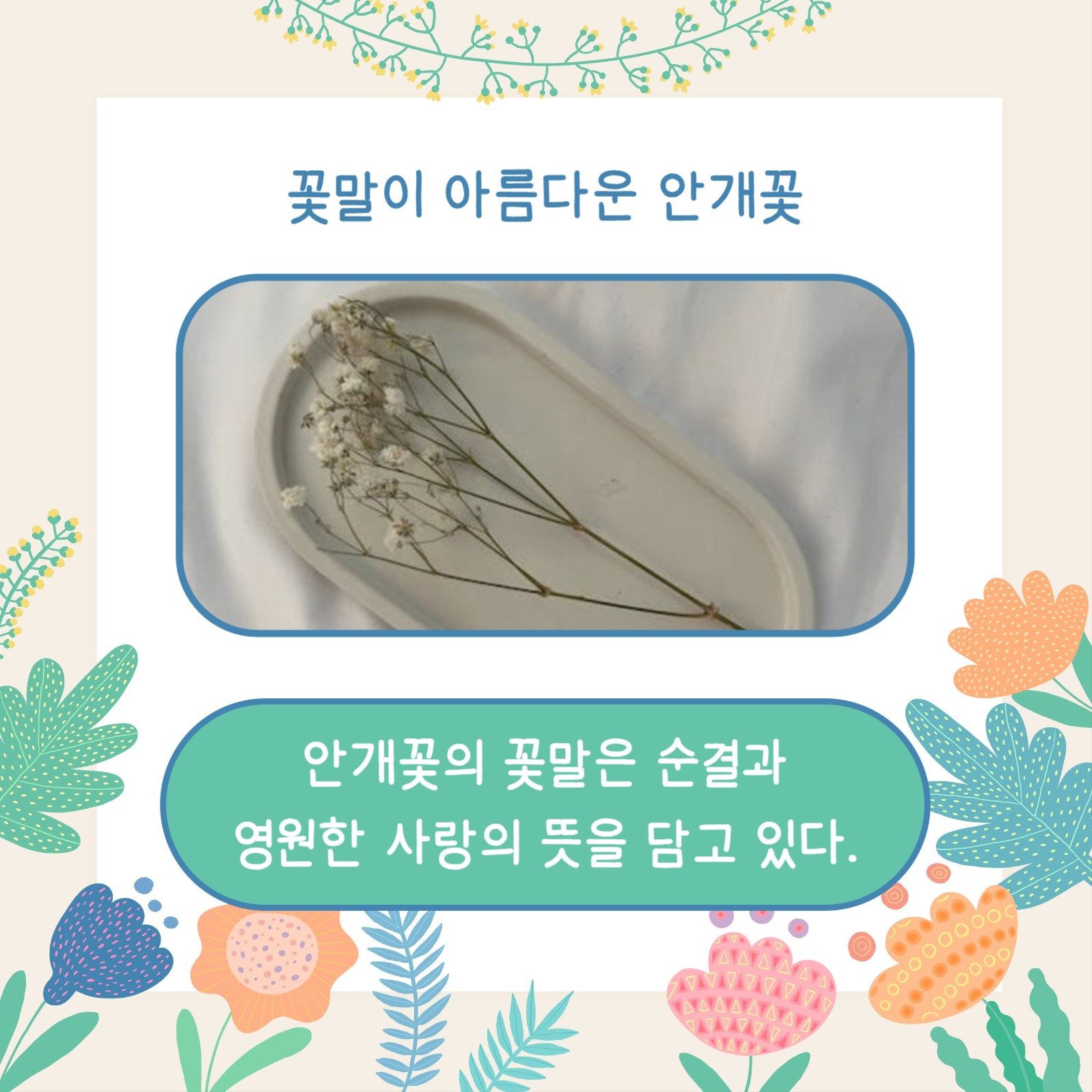 꽃말 예쁜 꽃 (카드뉴스)