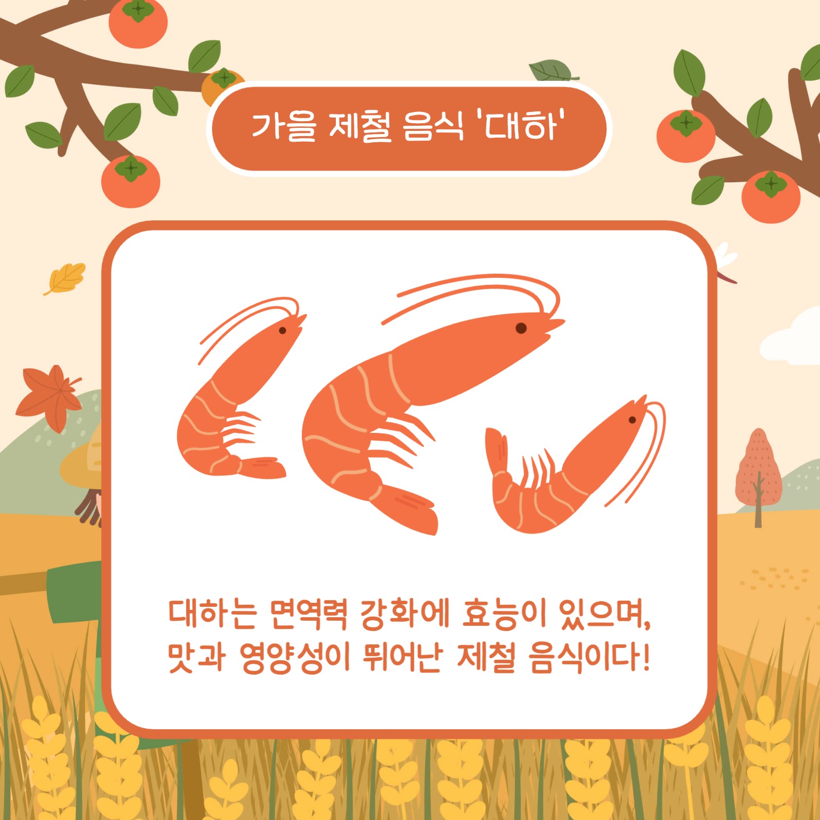 가을 추천 제철 음식 카드뉴스