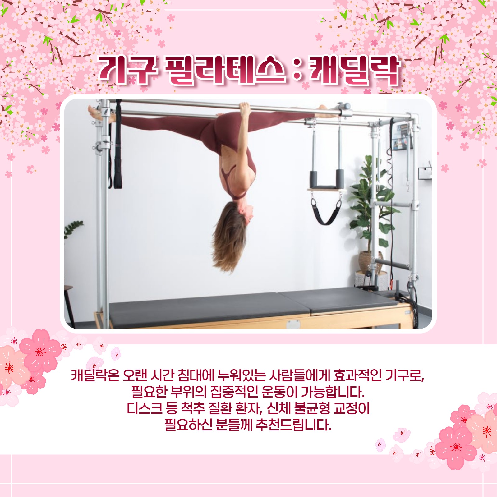 봄맞이 필라테스 카드뉴스