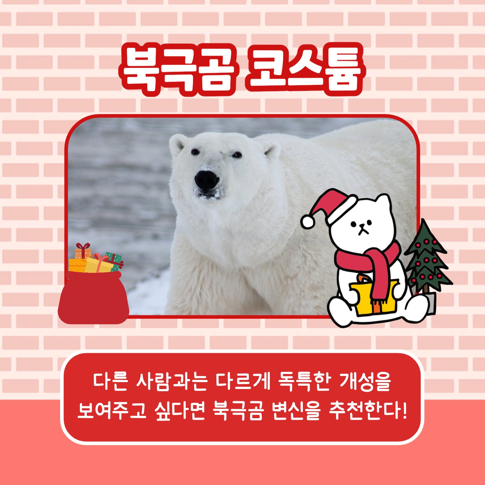 성탄절 코스튬 카드뉴스