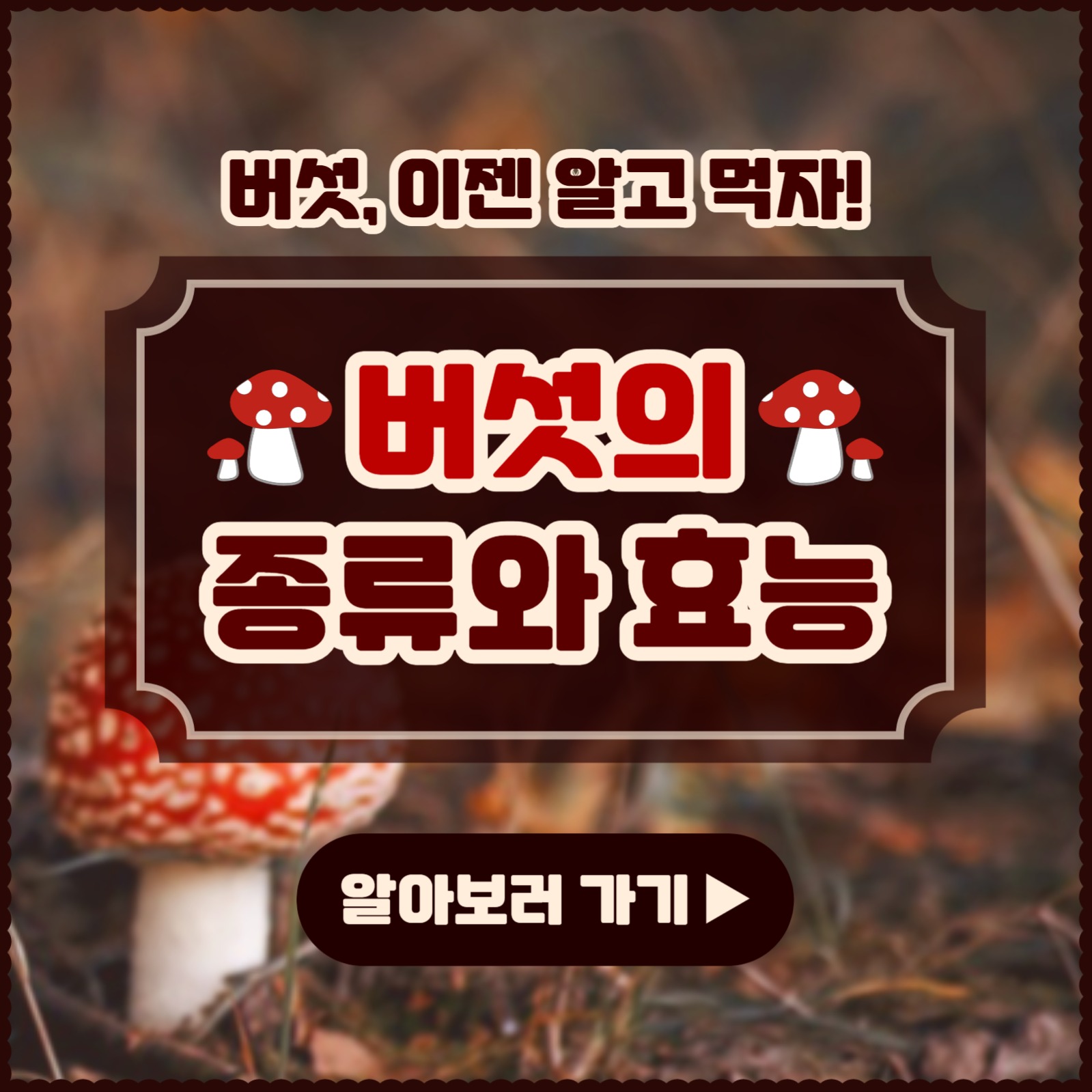 버섯의 종류와 효능 카드뉴스